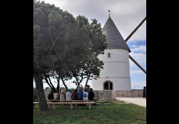 Visite dégustation